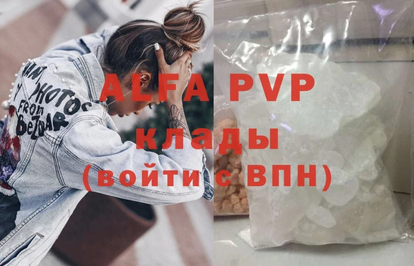 стаф Баксан