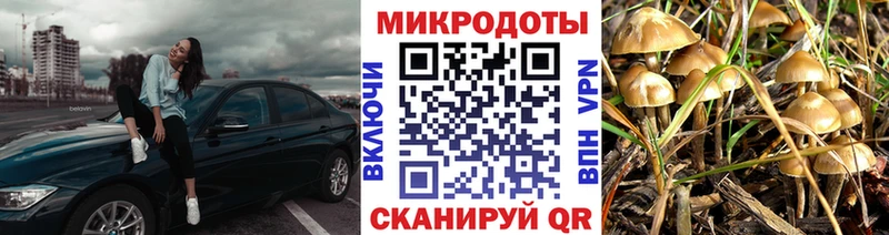 Галлюциногенные грибы Psilocybine cubensis  где можно купить наркотик  Рассказово 